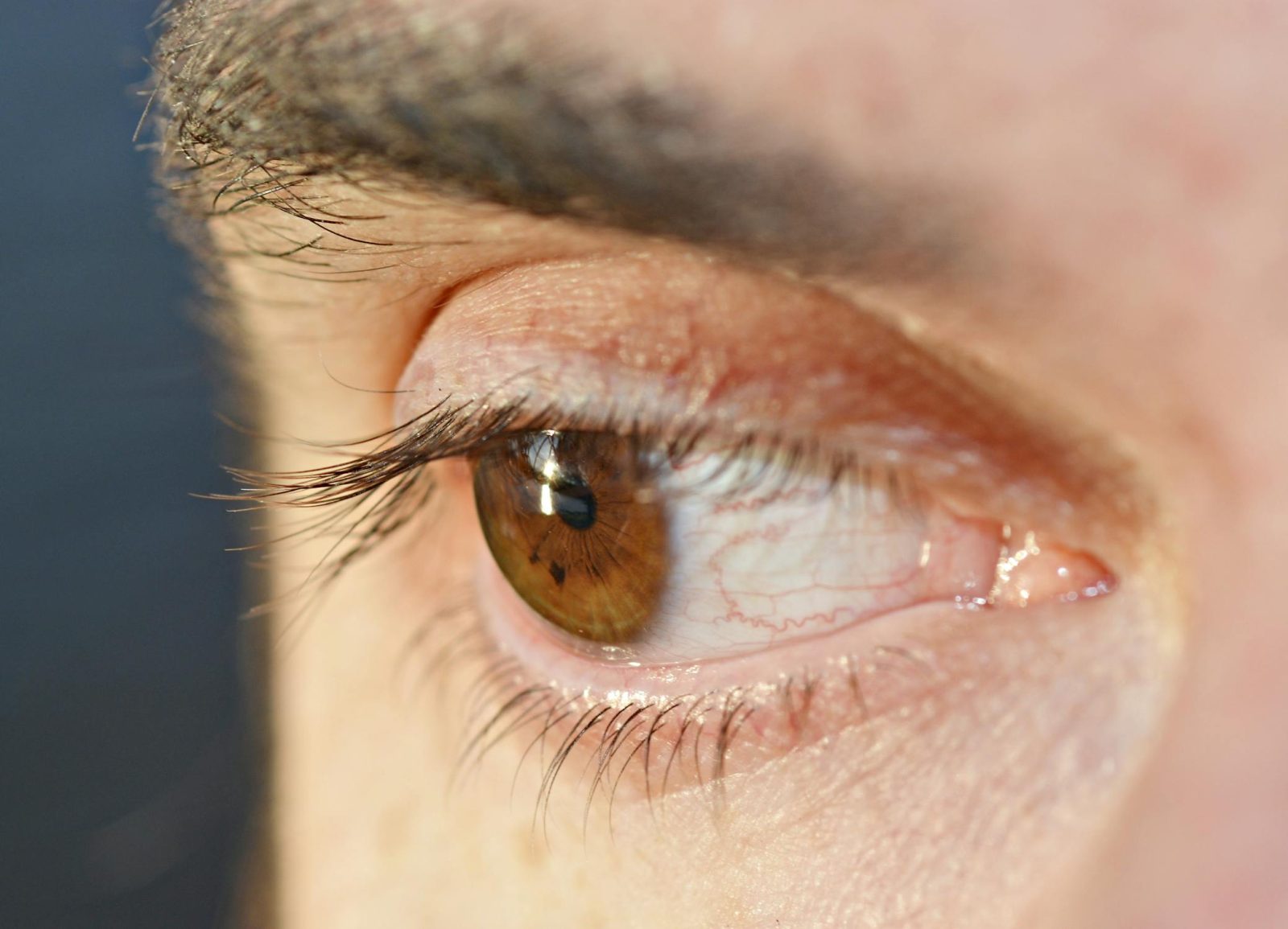 Человеческий глаз