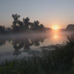 Утро на речке