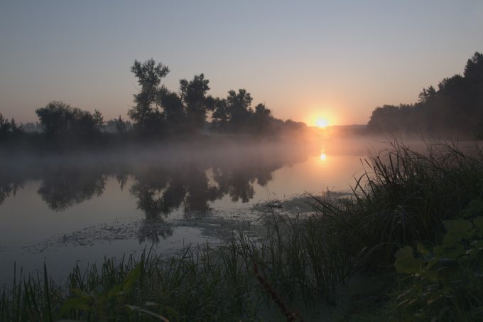 Утро на речке