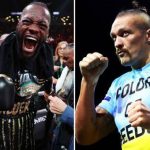 Усик против Уайлдера