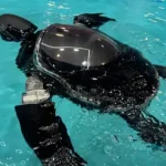 Черепаха робот