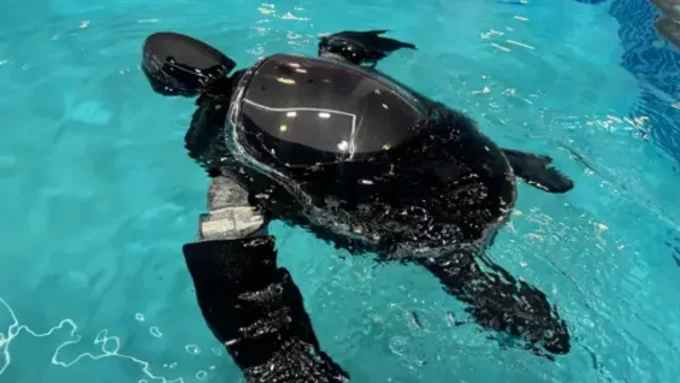 Черепаха робот