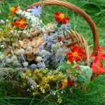 Корзина с цветами