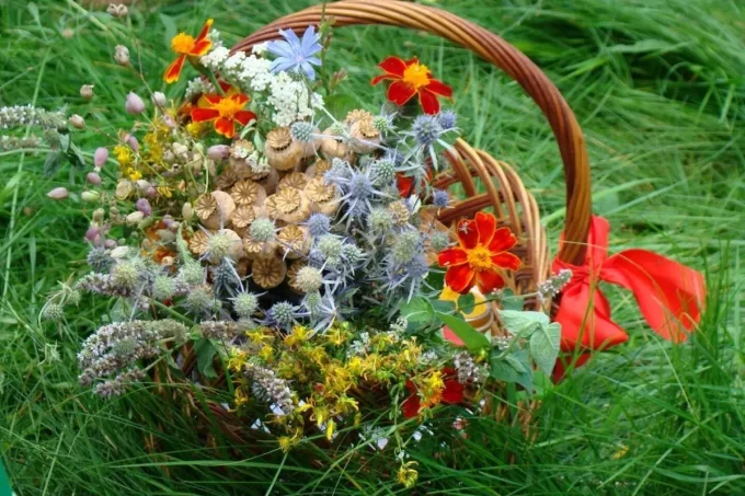 Корзина с цветами