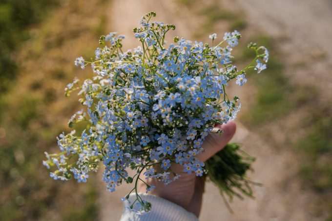 Цветы
